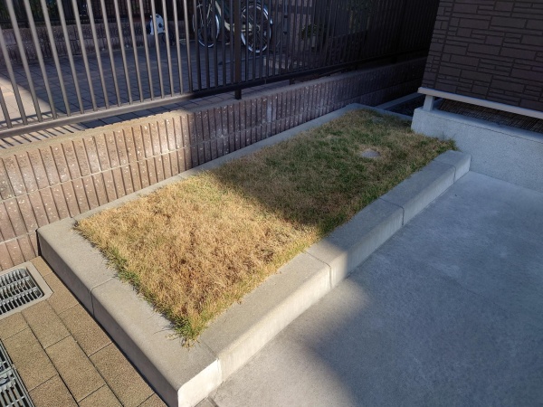 マンションの駐車場横の芝生を平らに刈り直した芝刈り事例｜大阪市生野区A様（作業前）