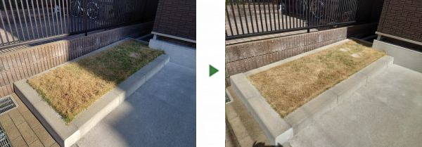 マンションの駐車場横の芝生を平らに刈り直した芝刈り事例｜大阪市生野区A様