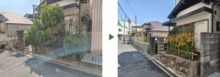 石垣からはみ出てしまったシダレモミジとマサキの剪定・カイヅカイブキの伐採とオウゴンマサキの植栽を1人1日で実施した事例｜大阪市淀川区T様