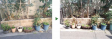 家の前の花壇・植木鉢への「散水ホース取付」を1人3時間で実施した事例｜大阪府大阪市鶴見区K様