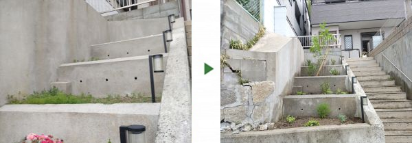 段々になっている土地に高さ2mのアオダモ株立とハクチョウゲ・アベリアホープレイズを1人3時間で植栽した事例｜大阪市城東区K様