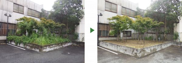 駐車場の隅の植え込み50㎡の「草刈り」を1人1日で実施した事例｜大阪府大阪市都島区T様