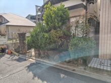 石垣からはみ出てしまったシダレモミジとマサキの剪定・カイヅカイブキの伐採とオウゴンマサキの植栽を1人1日で実施した事例｜大阪市淀川区T様（作業前）
