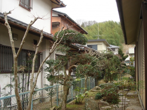 奈良市植木剪定作業後１