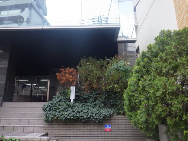 スカイペンシルの植木を会社の玄関口に植えた事例写真　施工前