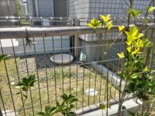 植木の水やりを楽にするために立水栓に散水コントローラーを設置した事例｜大阪市住吉区H様（作業後１）