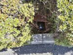 4ヵ所の散水栓に100mの散水ホースを設置した事例｜大阪府堺市北区Mマンション様（施工後１）