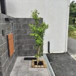 新築一戸建ての北向きの植栽スペースに高さ2mのソヨゴを植栽した事例｜大阪市大正区K様（施工後）