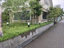 店舗のオープン時間までに玄関前の笹の剪定作業を実施した事例｜大阪市城東区T様（作業前）