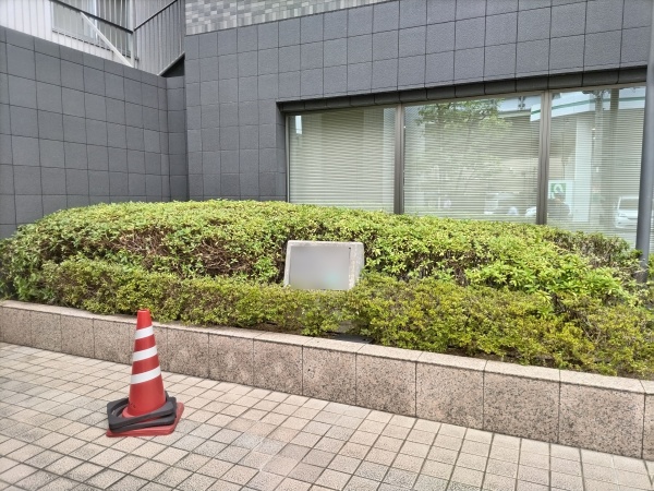 マンション前の植え込みのサツキとヒラドツツジの剪定を予算内の2万円で実施した事例｜大阪市旭区Kマンション様（作業後）