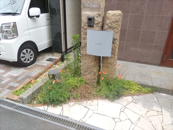 草むしりに悩まれていた玄関前の植え込みに「防草シートと白玉砂利の敷設」を1人3時間で実施した事例｜大阪府大阪市北区T様（作業前）