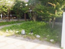 店舗のオープン前までに植え込みの雑草除去と笹の剪定を実施した事例｜大阪市都島区Y様（施工前）