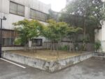 駐車場の隅の植え込み50㎡の「草刈り」を1人1日で実施した事例｜大阪府大阪市都島区T様（作業後）