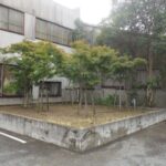 駐車場の隅の植え込み50㎡の「草刈り」を1人1日で実施した事例｜大阪府大阪市都島区T様（作業後）