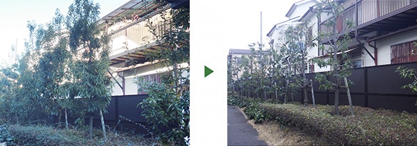 大阪の植木屋です 出張 見積無料で関西全域 神戸 京都 奈良 和歌山 の剪定 伐採 植栽に対応します 1年間の枯れ保障つきで安心して作業をお任せいただけます 大阪 門真市 堺市 京都 奈良の植木屋村上造園