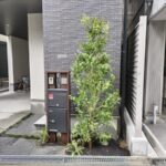 エントランスの花壇のシラカシをブラシノキに植替えた事例｜大阪市生野区K様（作業後）