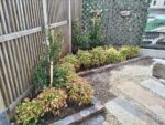 中古で購入した自宅の庭にヒメシャリンバイとオタフクナンテンを植栽した事例｜大阪市城東区A様（作業後）