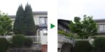 植木剪定