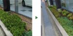 植え込みビフォーアフター