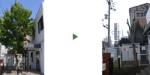 トウカエデ　剪定後