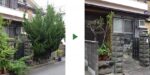 空き家の生垣